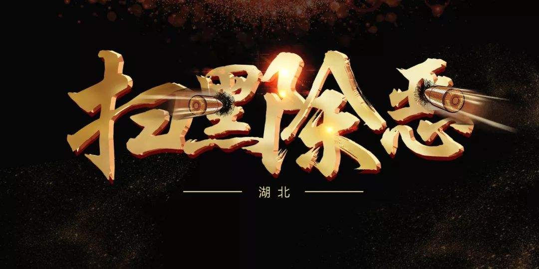 湖北省公安百日内抓获涉黑涉恶目标逃犯400人