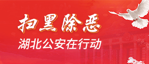湖北公安50天平安荆楚在行动