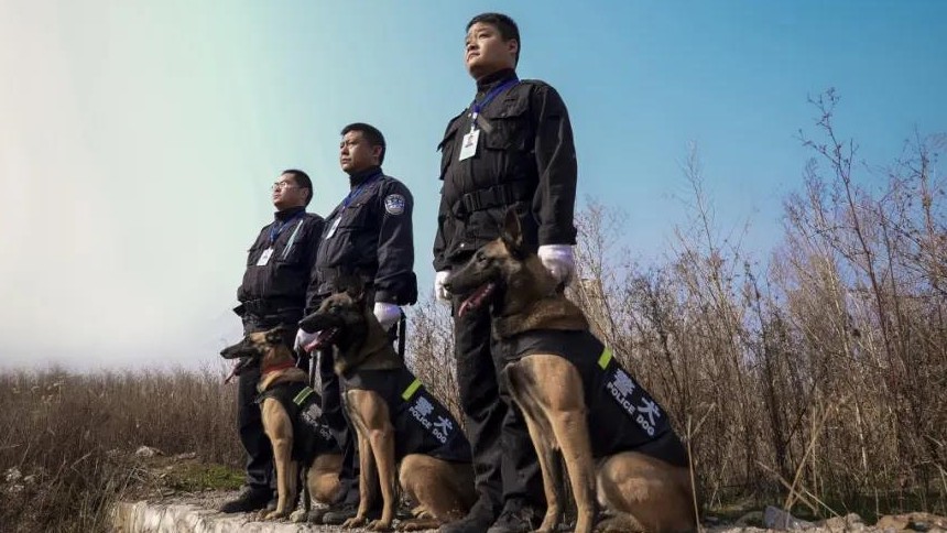深埋地下7米，17年前尸骨重见天日 极限挑战，湖南省警犬技术实战团队纪实