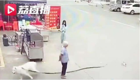 全国新闻速览 8月19日星期三,农历七月初一(88岁老人被狗绳绊倒身亡,通报来了)全国新闻速览