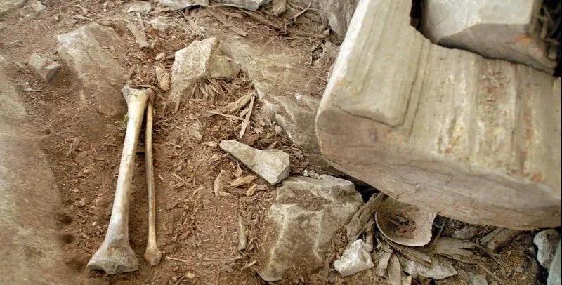 法制新闻速览9月3日星期四,农历七月十六(奇葩!多次挖领导家祖坟竟为博赏识)