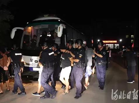 3000名警察同时抓捕,一锅端了528人!