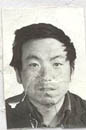 张平