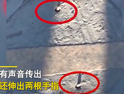 新闻速览11月25日星期三,农历十月十一(吓人!驾校水泥封死的窨井盖突然伸出两根手指!消防民警合力挖开惊住了!)