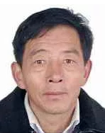 陈新华