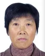 王网
