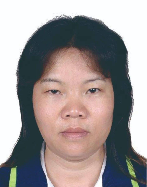 李亚带