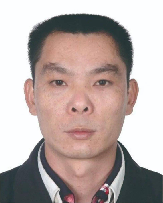 陈志敏