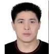 洪真