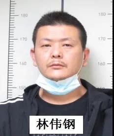 希望广大人民群众积极提供林伟钢、谢炳林等人违法犯罪线索。