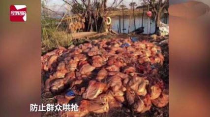 星期一,农历十一月廿一。江面突然漂来4吨冻肉,这便宜也有人敢占?
