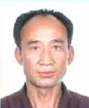 高树元