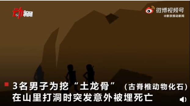 3男子盗挖土龙骨被埋身亡【三分钟法治新闻全知道】