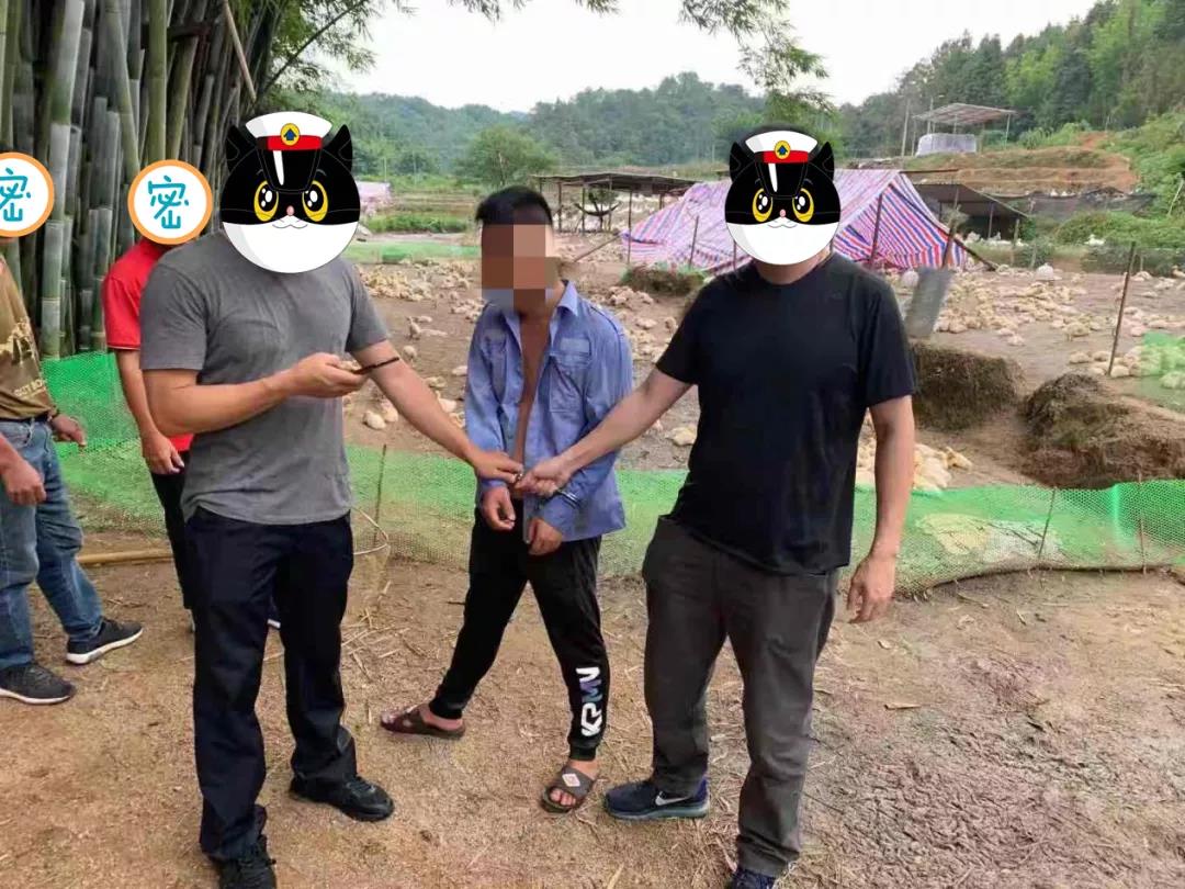 新丰警方抓获两名在逃人员