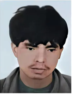 刘君