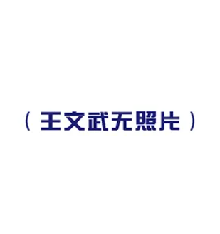 王文武