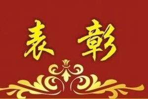 全国表彰!公安系统1个集体和3名个人获奖