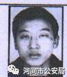田朋