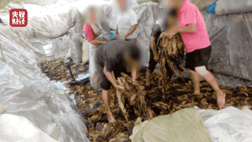 谁还敢吃这碗“老坛酸菜面”? ● 中国足球不要键盘侠?